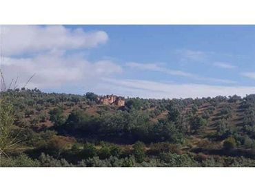 Terreny rústic en venda a Huelma