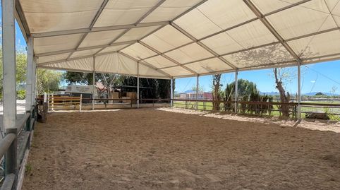 Dream Finca, imatge 2