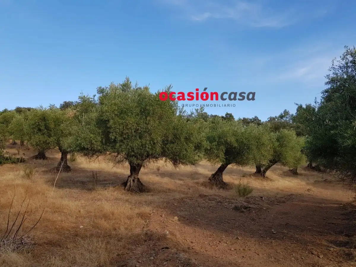 Finca rústica en venta en Espiel con Piscina y Amueblado