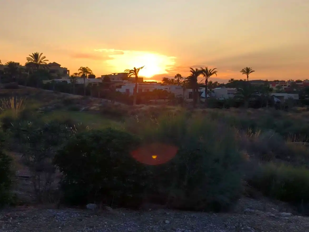 Garden of Houses for sale in Golf Valle Este