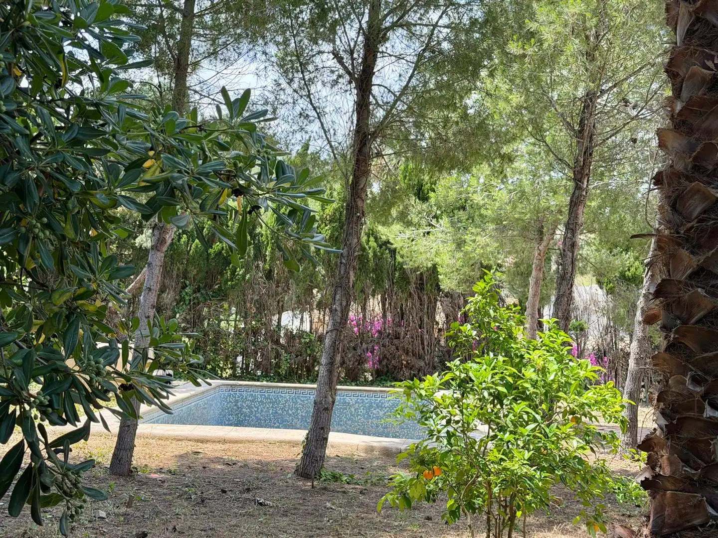 Piscina de Casa o xalet en venda en Jávea / Xàbia amb Jardí privat i Piscina