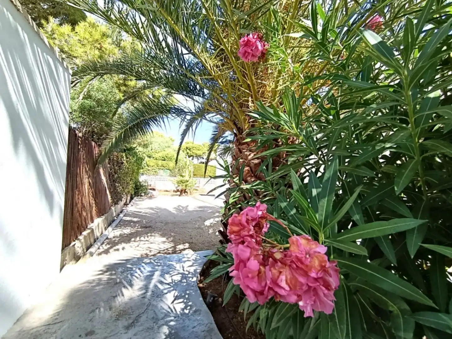 Villa avec piscine à vendre à La Granadella  - Costa Nova, imagen 49