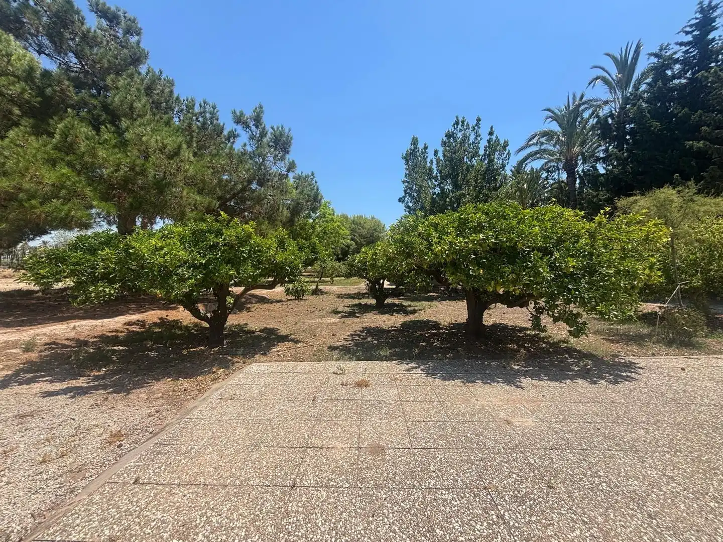 Houses for sale in Elche / Elx
