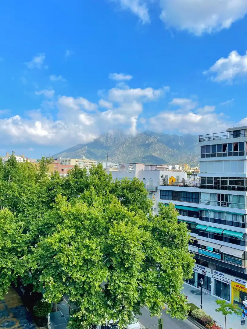 Apartment with pool for sale in Marbella Centro, imagen 10