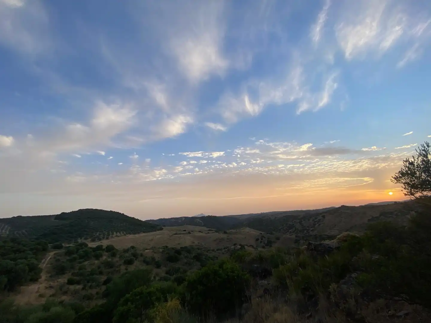 Rural land for sale in Morón de la Frontera, imagen 11