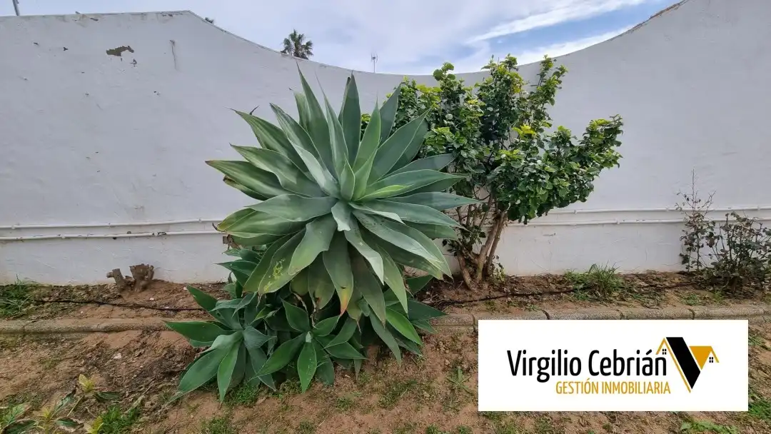 Detached house with garden for sale in Las Tres Piedras - Costa Ballena, imagen 10
