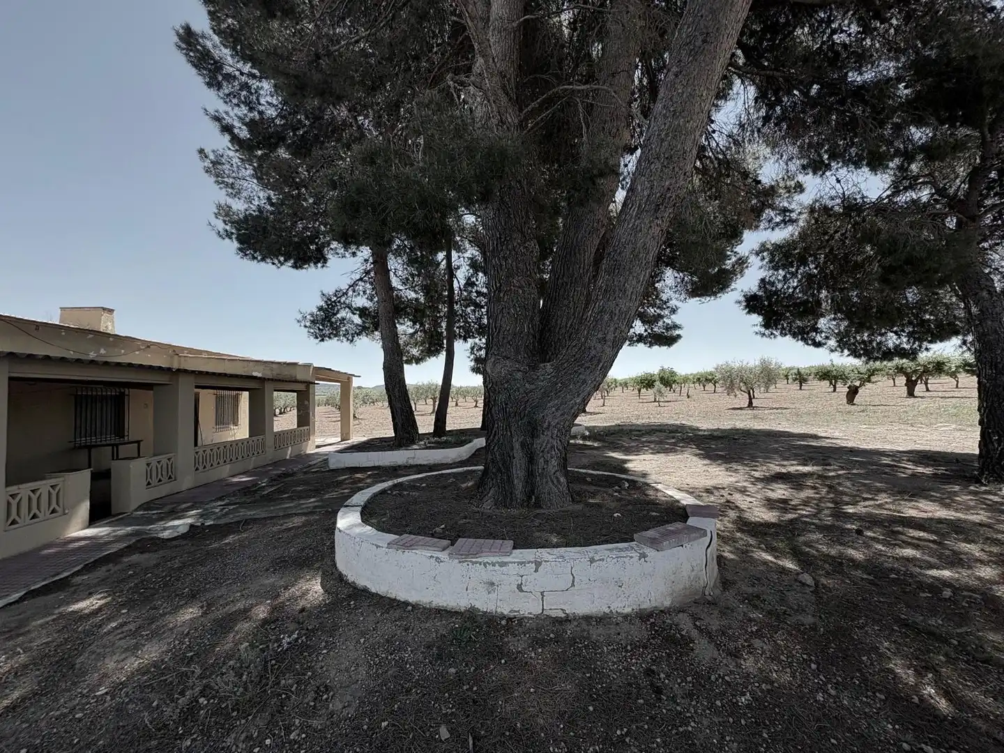 Exterior view of Houses for sale in Almansa  with Heating, Swimming Pool and Furnished