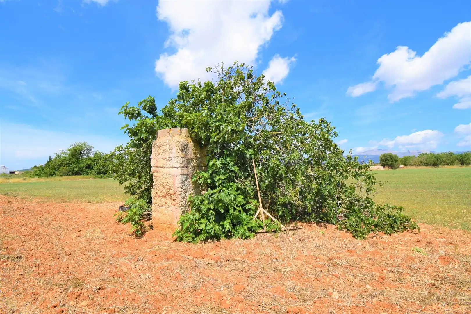 Finca rústica en venda a Llubí