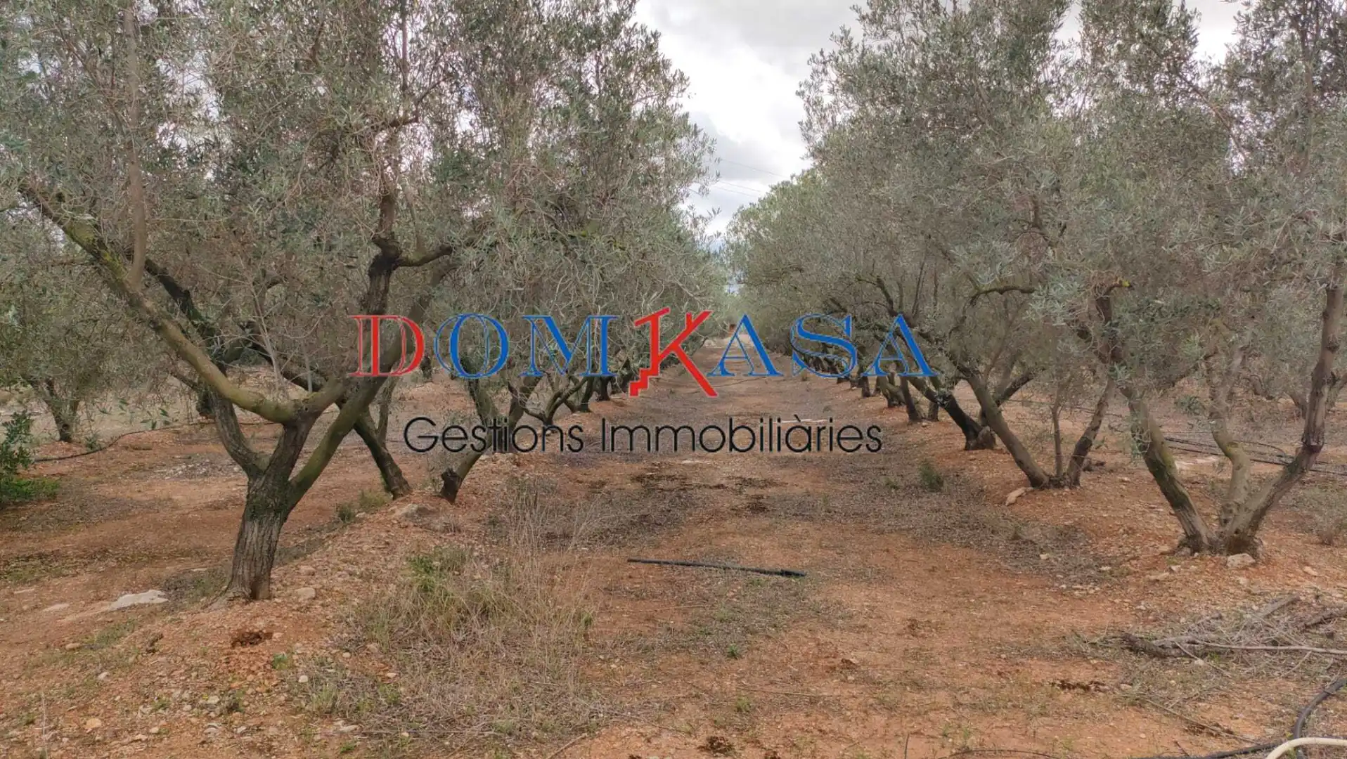 Rural land for sale in Roquetes, imagen 18