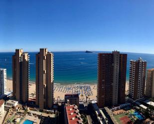 Vista exterior de Loft en venda en Benidorm amb Aire condicionat, Calefacció i Jardí privat