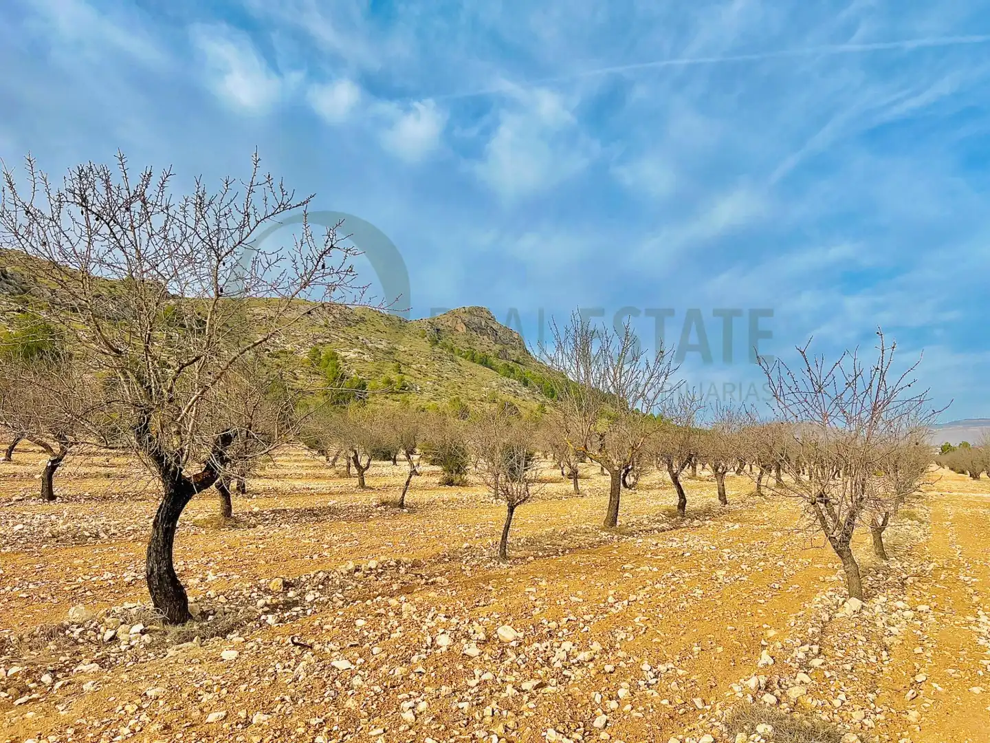 Residencial en venta en Villena