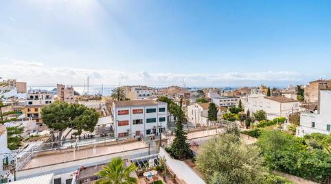Foto 5 de Casa adosada en venda a El Terreno,  Palma de Mallorca
