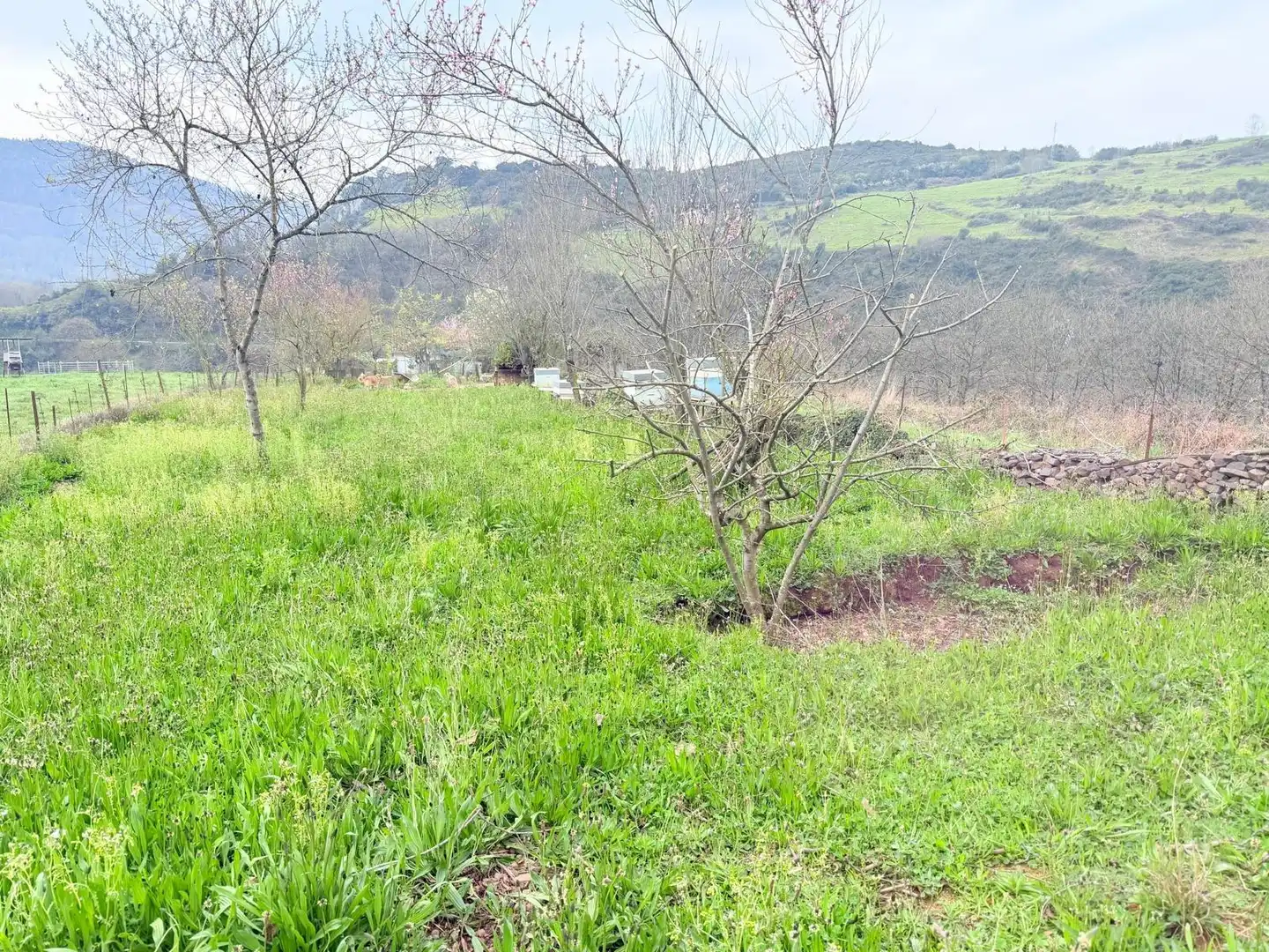 Casa o xalet en venda en Las Regueras  