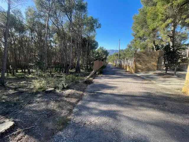 Rural land for sale in Sagunto ciudad, imagen 3
