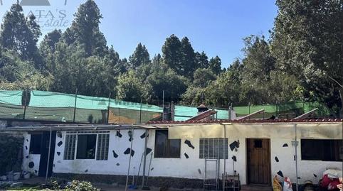 Foto 4 de Finca rústica en venda a La Vega - El Amparo - Cueva del Viento, Icod de los Vinos