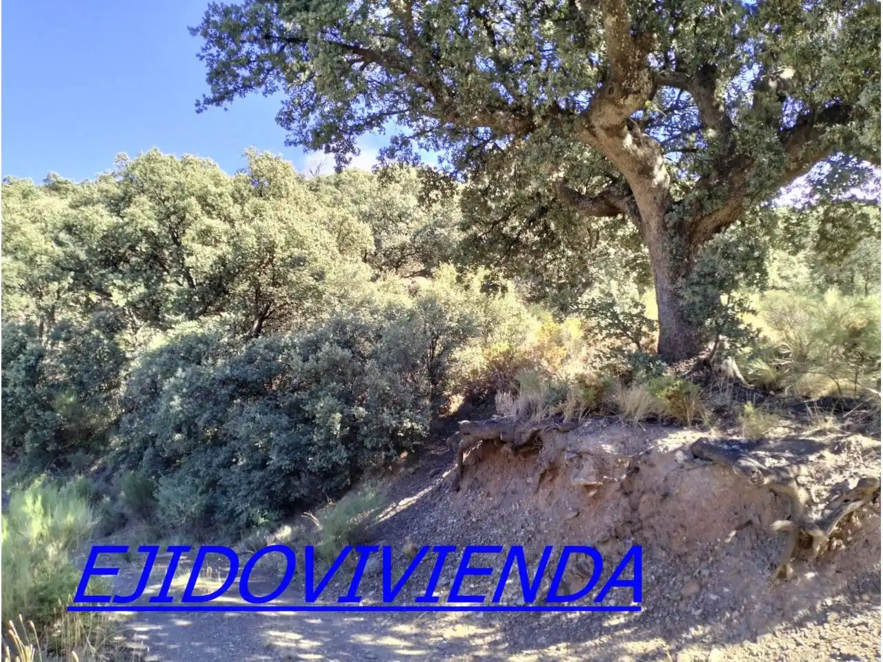 Terreno en venta en Bayárcal