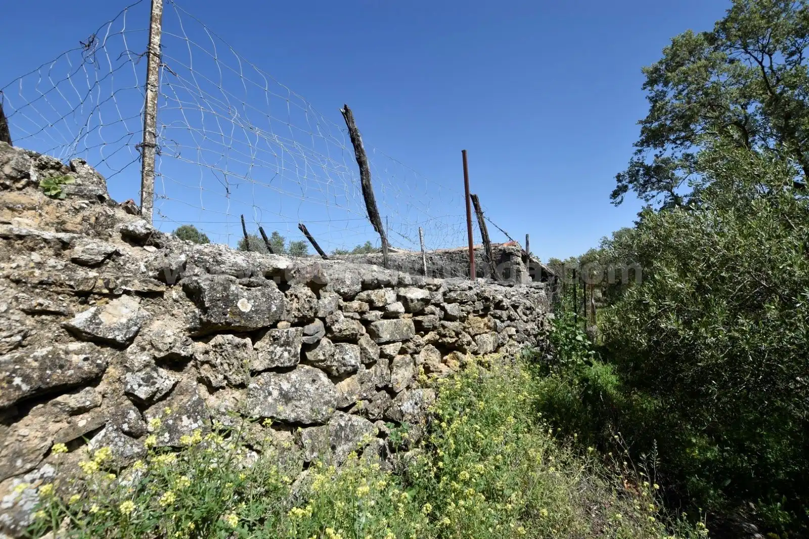Vista exterior de Finca rústica en venda en Ronda