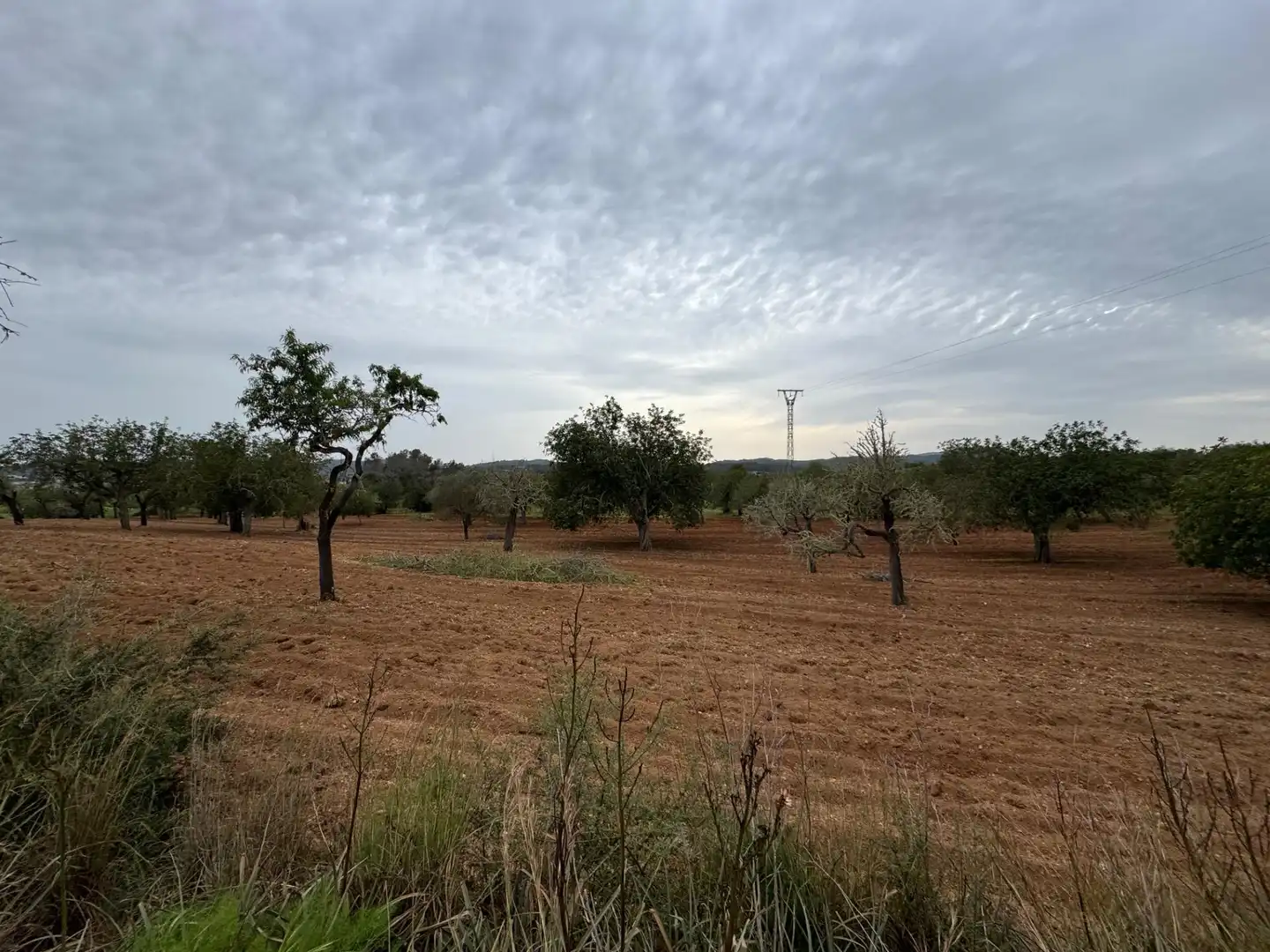 Rustikales Grundstück zum Verkauf in Camino Camí Vell de Porreres 2, imagen 14
