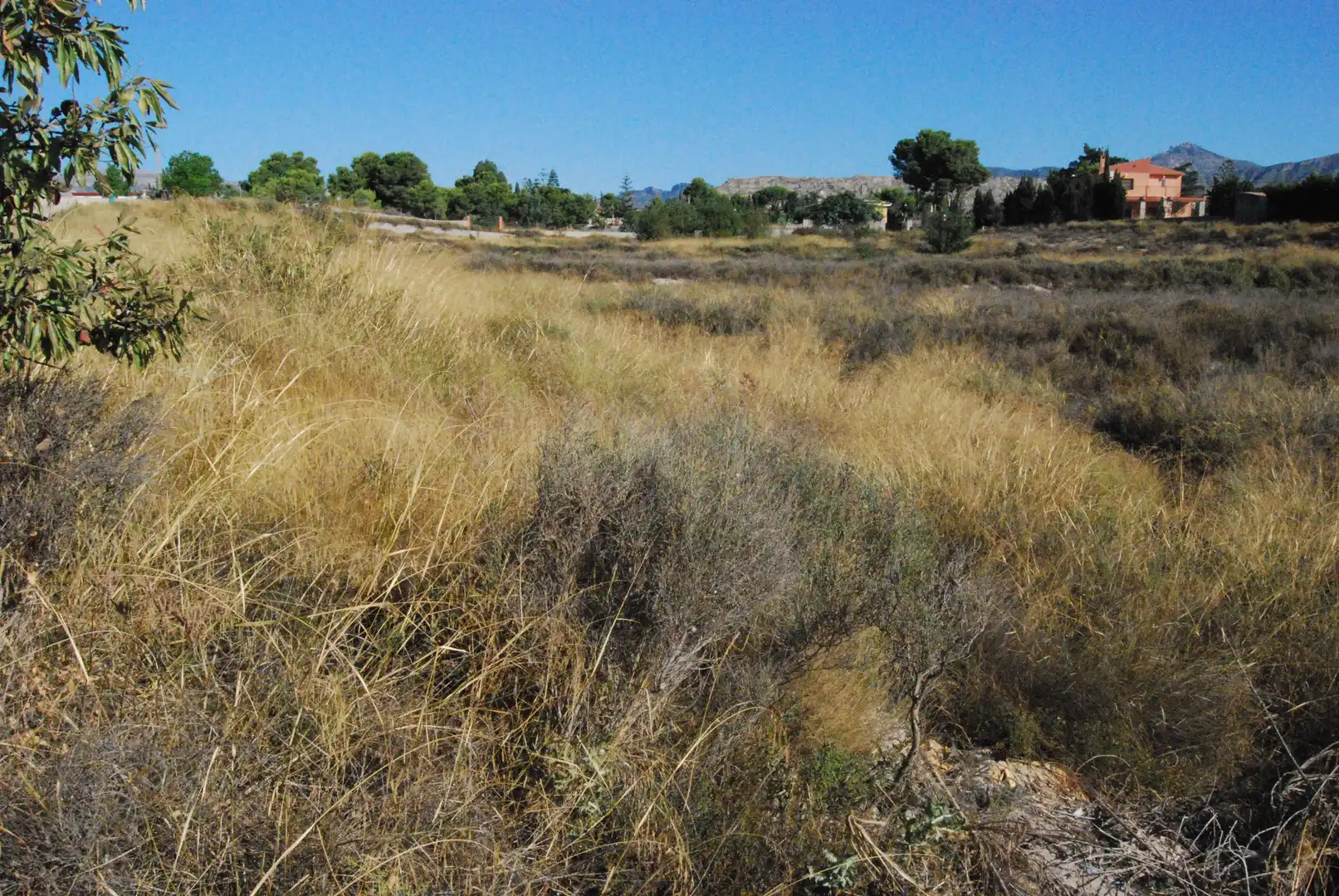 Terrain résidentiel à vendre à Agost, imagen 3