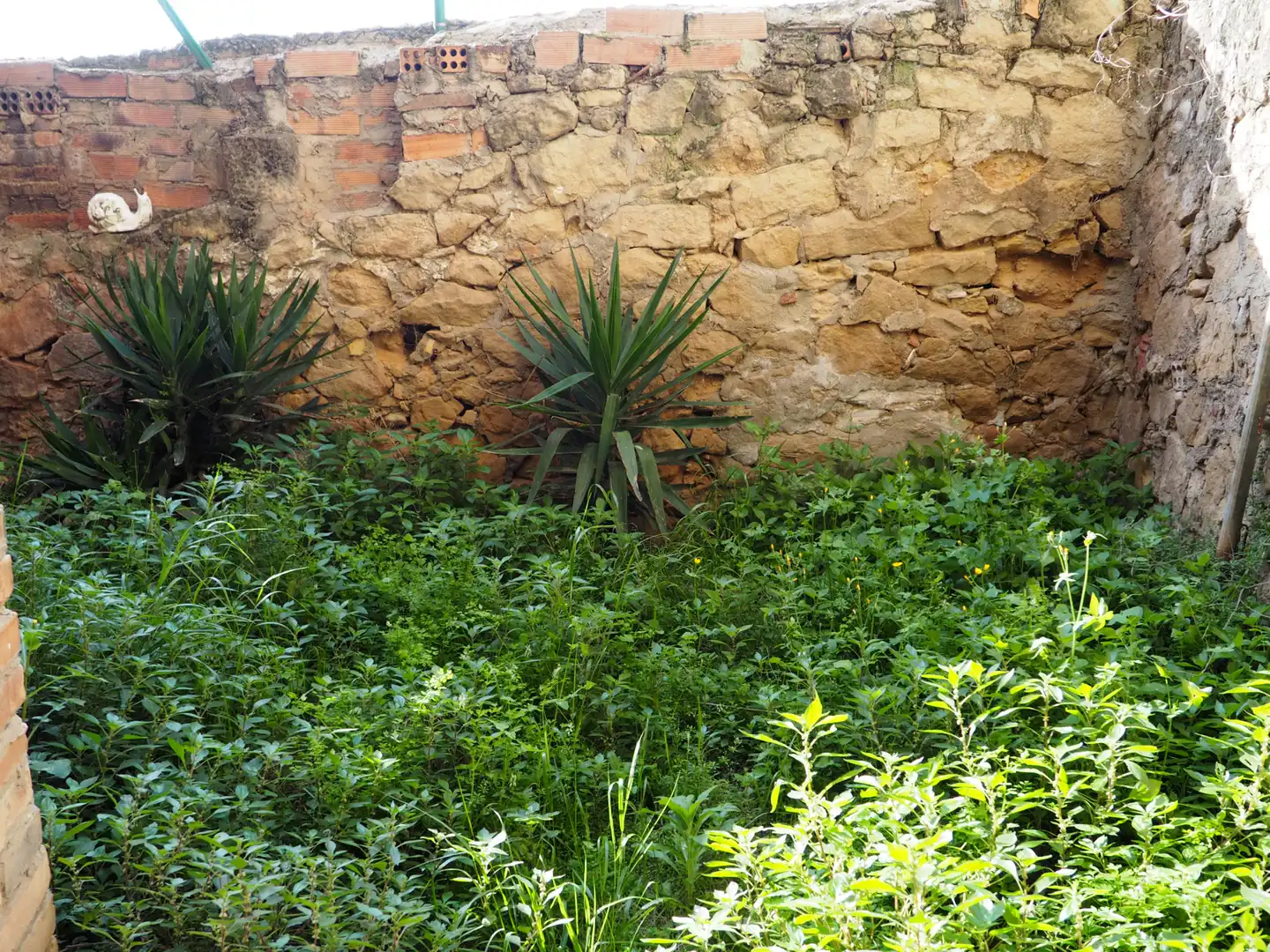 Jardí de Casa o xalet en venda en Riba-roja d'Ebre amb Moblat