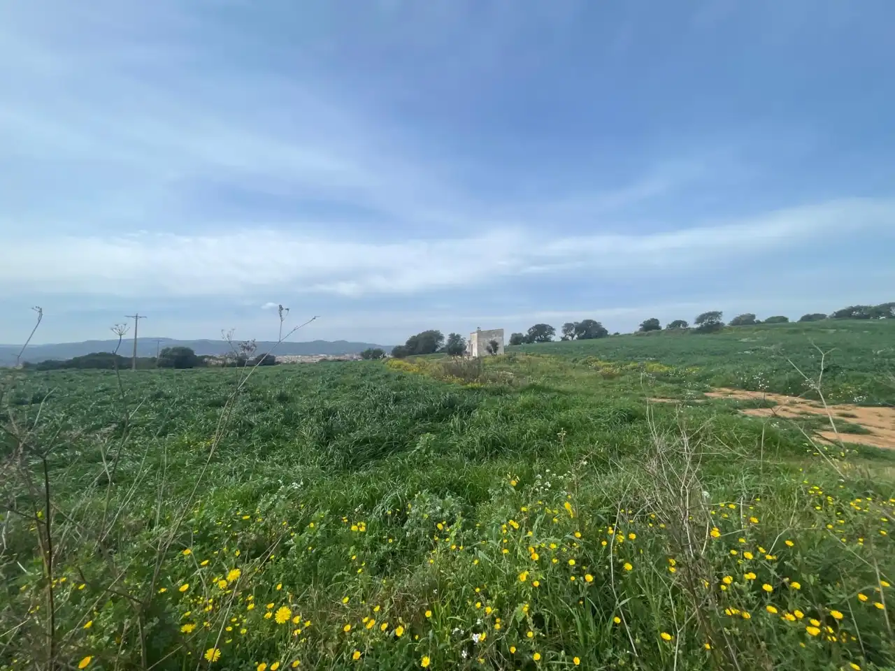 Terreny rústic en venda a Camí de la Portalada, imagen 3