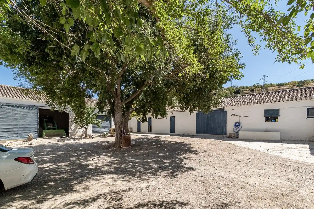 Vista exterior de Finca rústica en venta en Moclín con Piscina