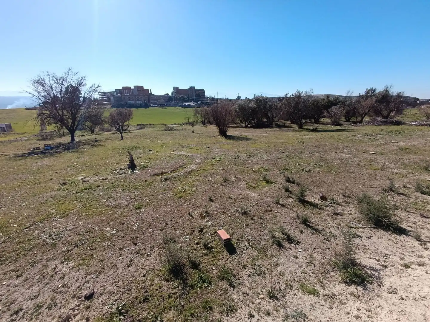 Terreni e lotti in vendita a San Gonzalo