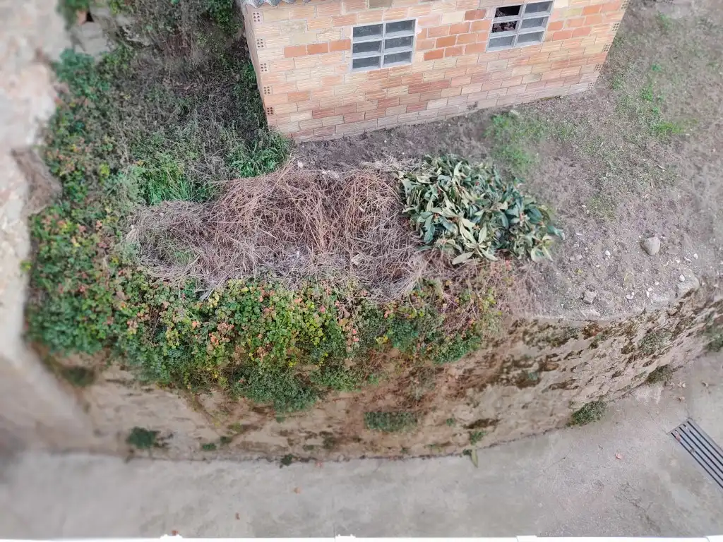 Exterior view of Houses for sale in Casserres