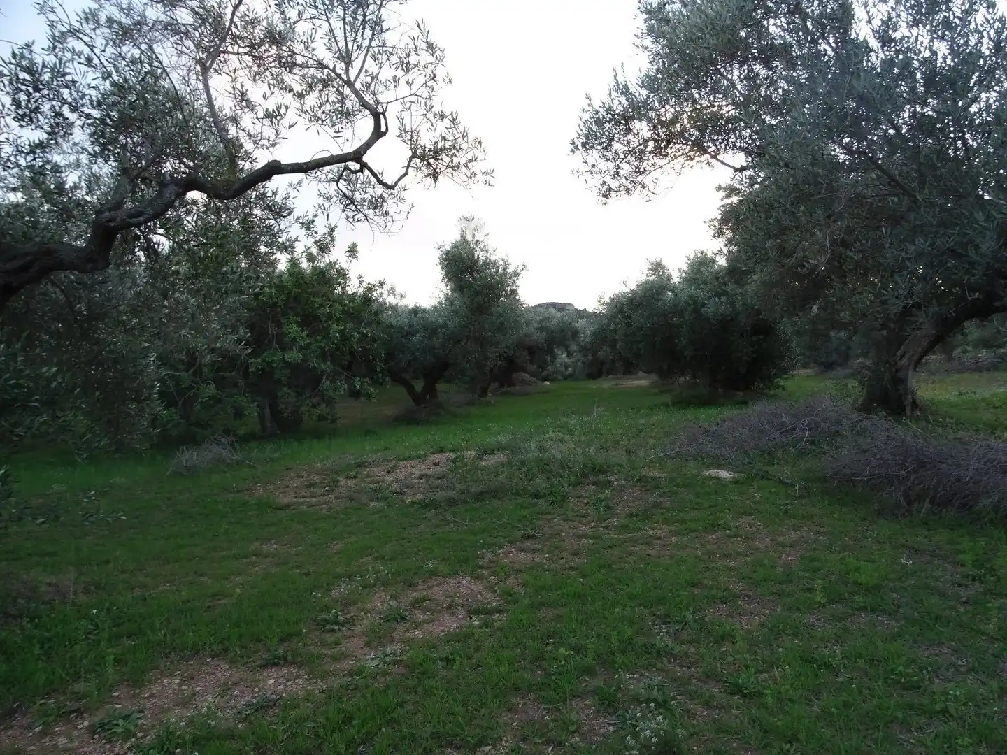 Terrain résidentiel à vendre à 12, imagen 14