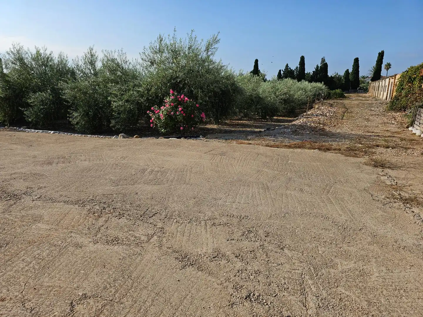 Country house for sale in Alcanar, imagen 17