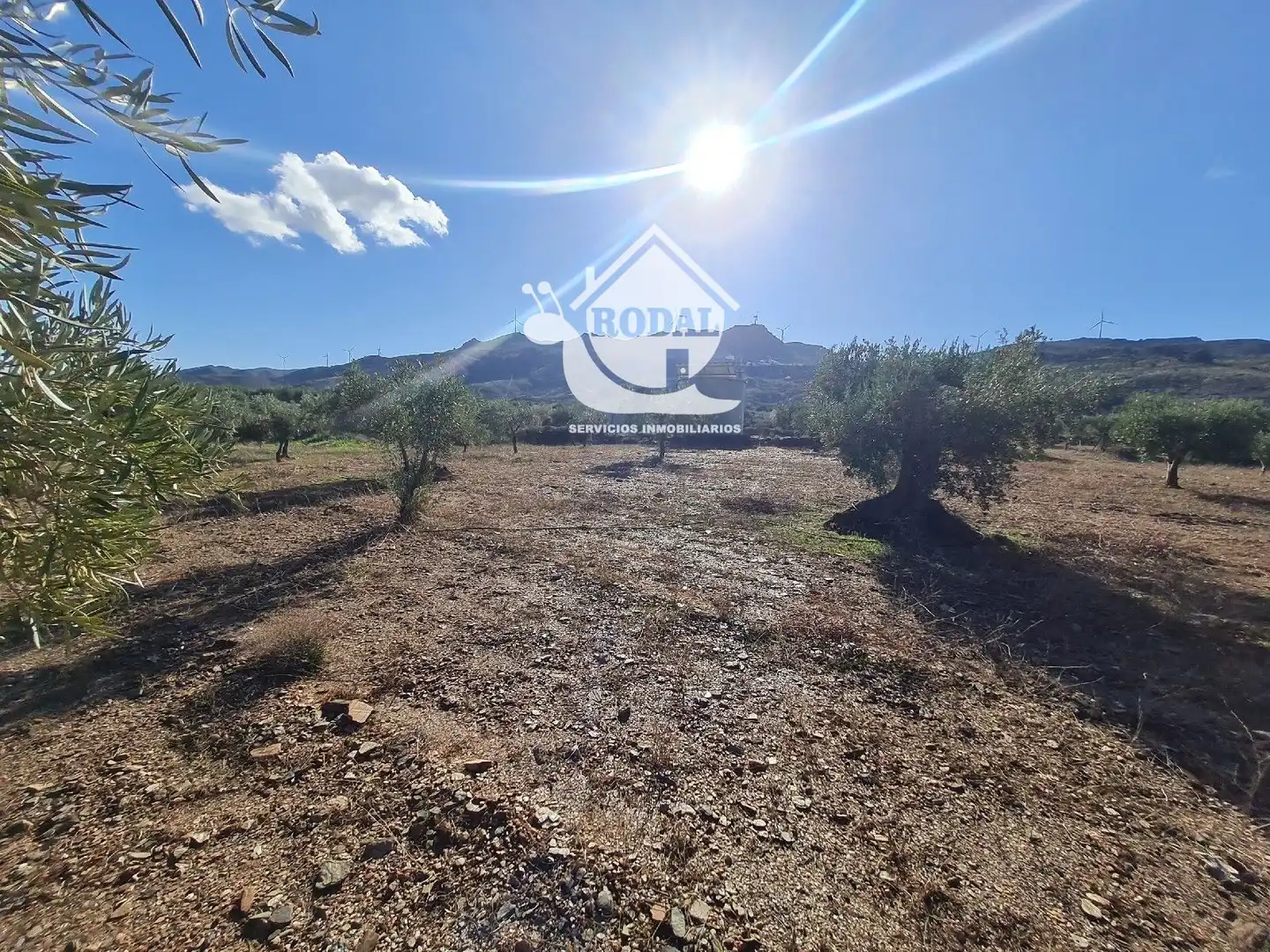 Terreno en venta en Turrillas