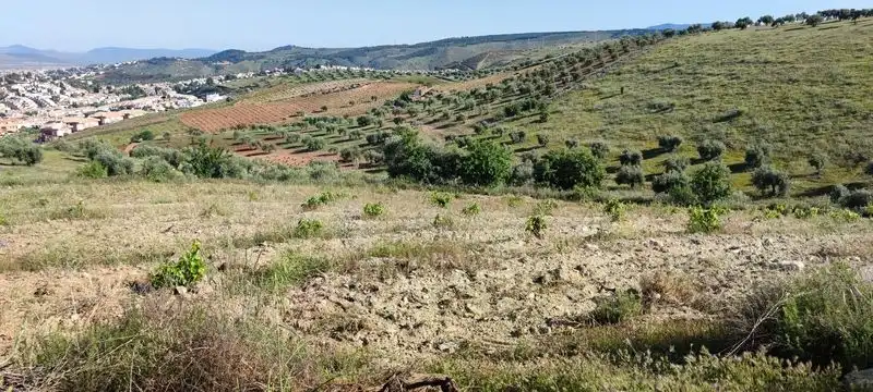Terrenos y solares en venta en P.P. DEL SUELO URBANIZABLE SUR- LOMA DEL CERRAJON,, imagen 8