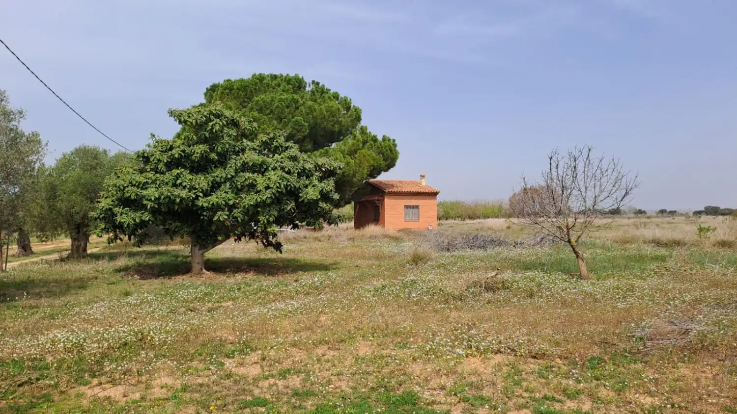 Finca rústica en venta en Constantí