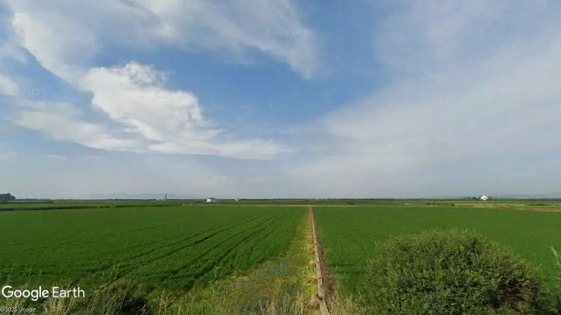 Terreno rustico in vendita a Catarroja, imagen 5
