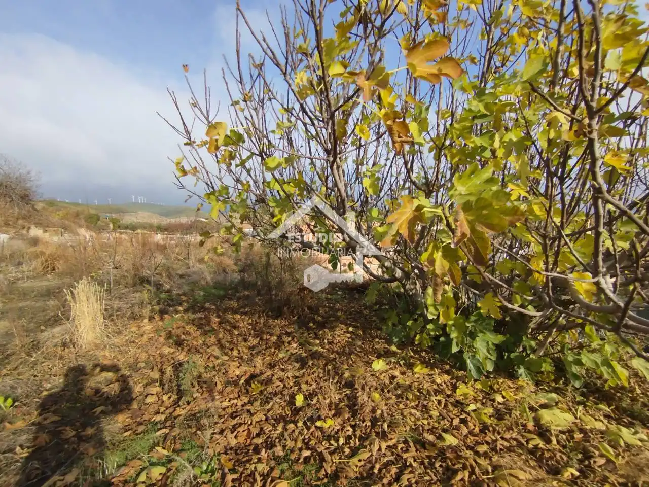 Rural land for sale in Calle Arbanta, imagen 29
