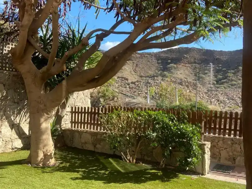 Jardí de Casa o xalet en venda en Mogán amb Aire condicionat i Balcó