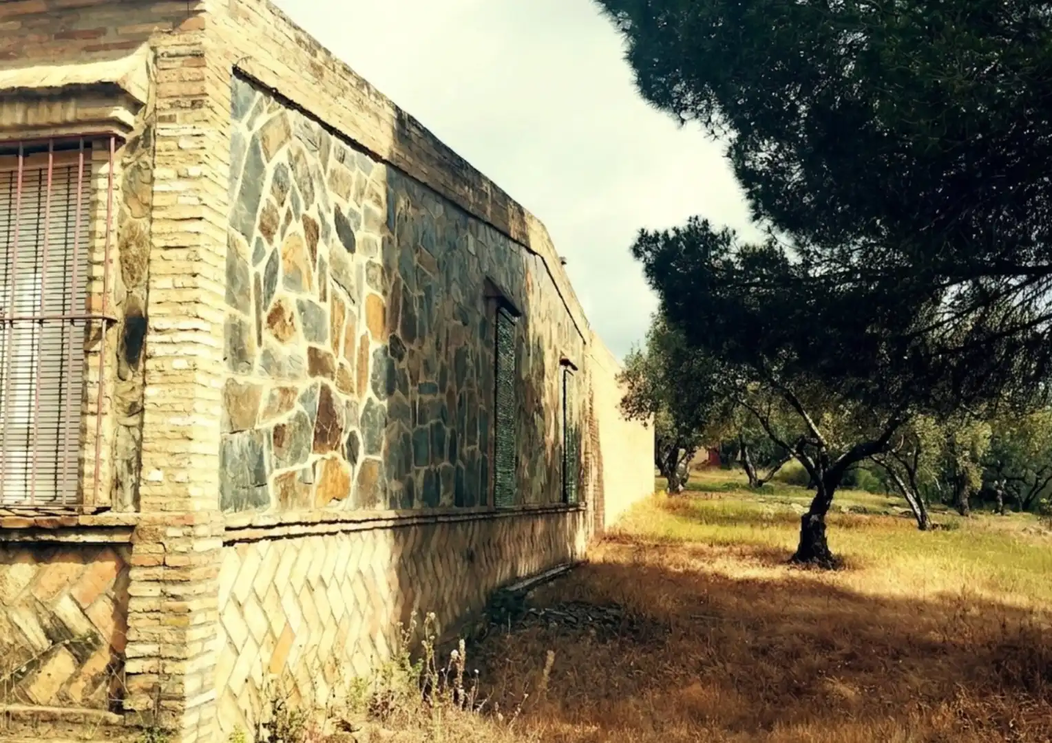 Vista exterior de Finca rústica en venta en La Palma del Condado con Jardín privado, Terraza y Trastero