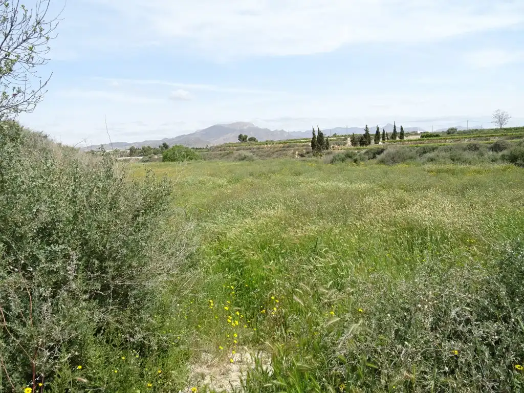 Country homes for sale in Aspe