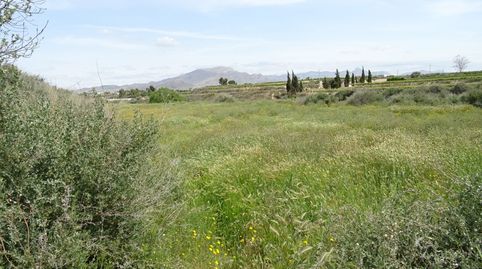 Photo 3 of Country homes for sale in Centro, Aspe