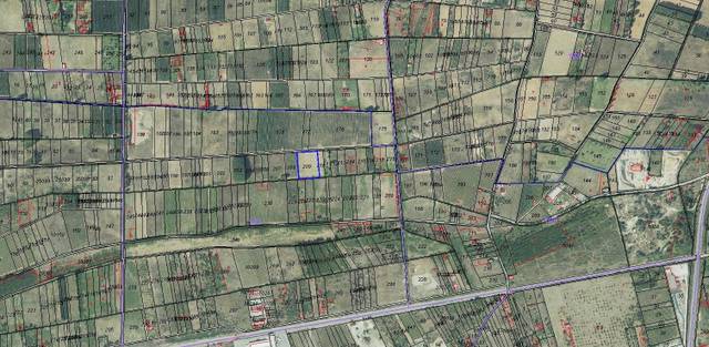 Terreno en Venta en Polígono Polígono 103 Parcela 209 CHANAS. PONFERRA en Zona Alta