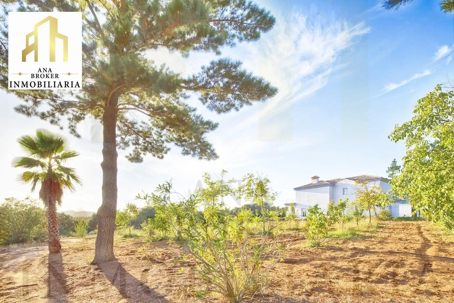Casa o chalet en venta en Arriate