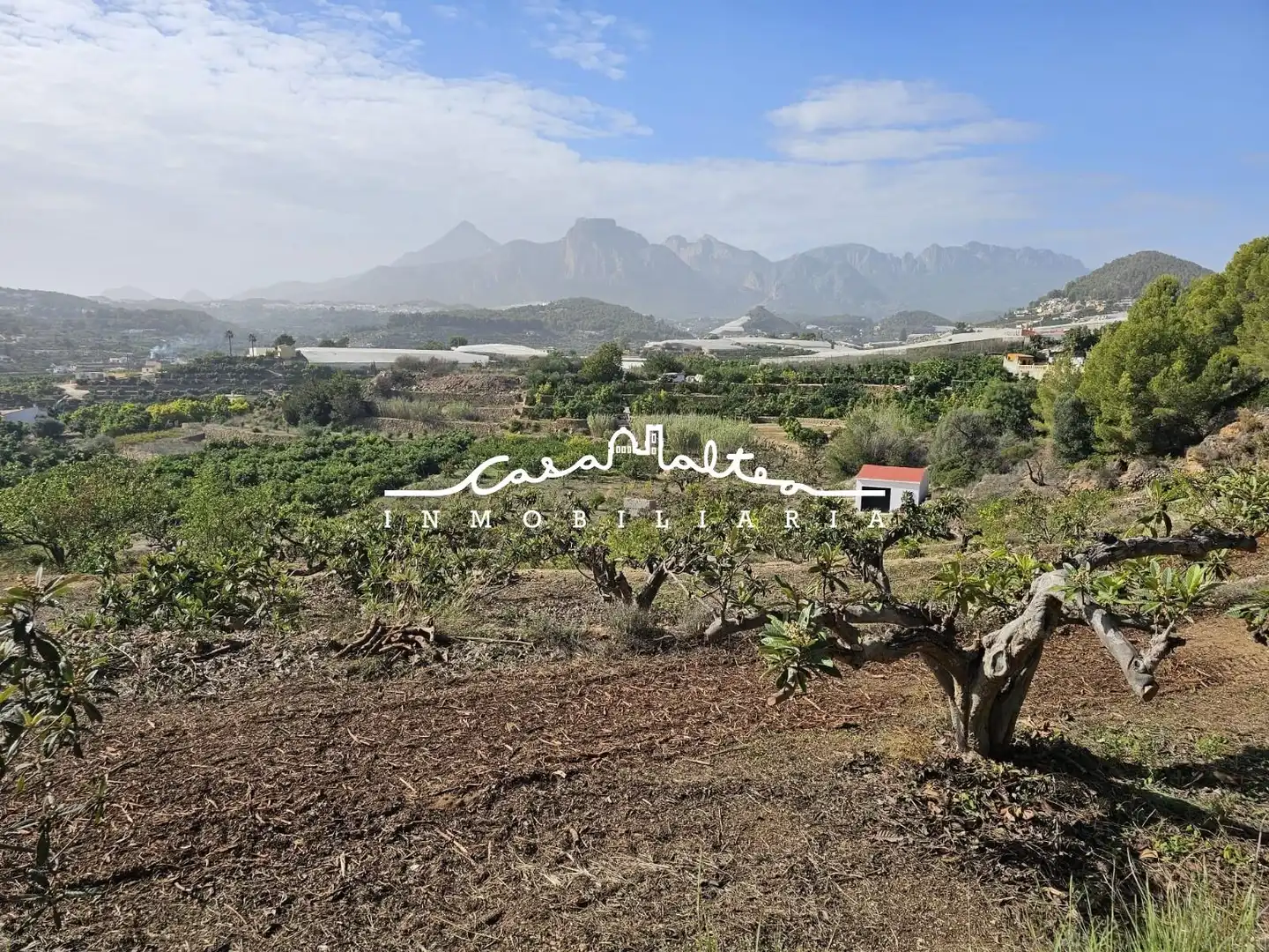 Casa rústica con jardín en venta en Callosa d'en Sarrià, imagen 16