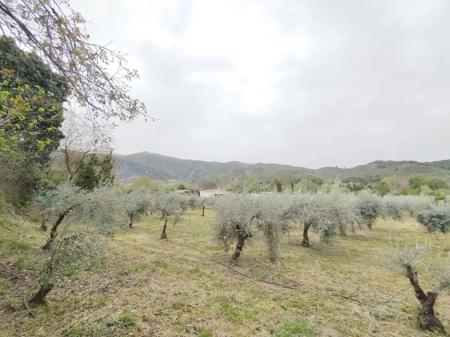 Terreni e lotti in vendita a Carretera Cenes de la Vega, imagen 15