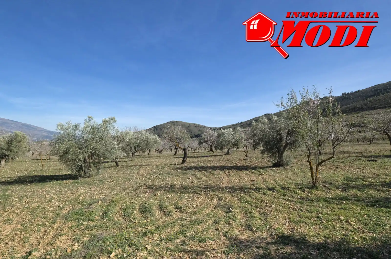 Terreni e lotti in vendita a El Valle, imagen 31