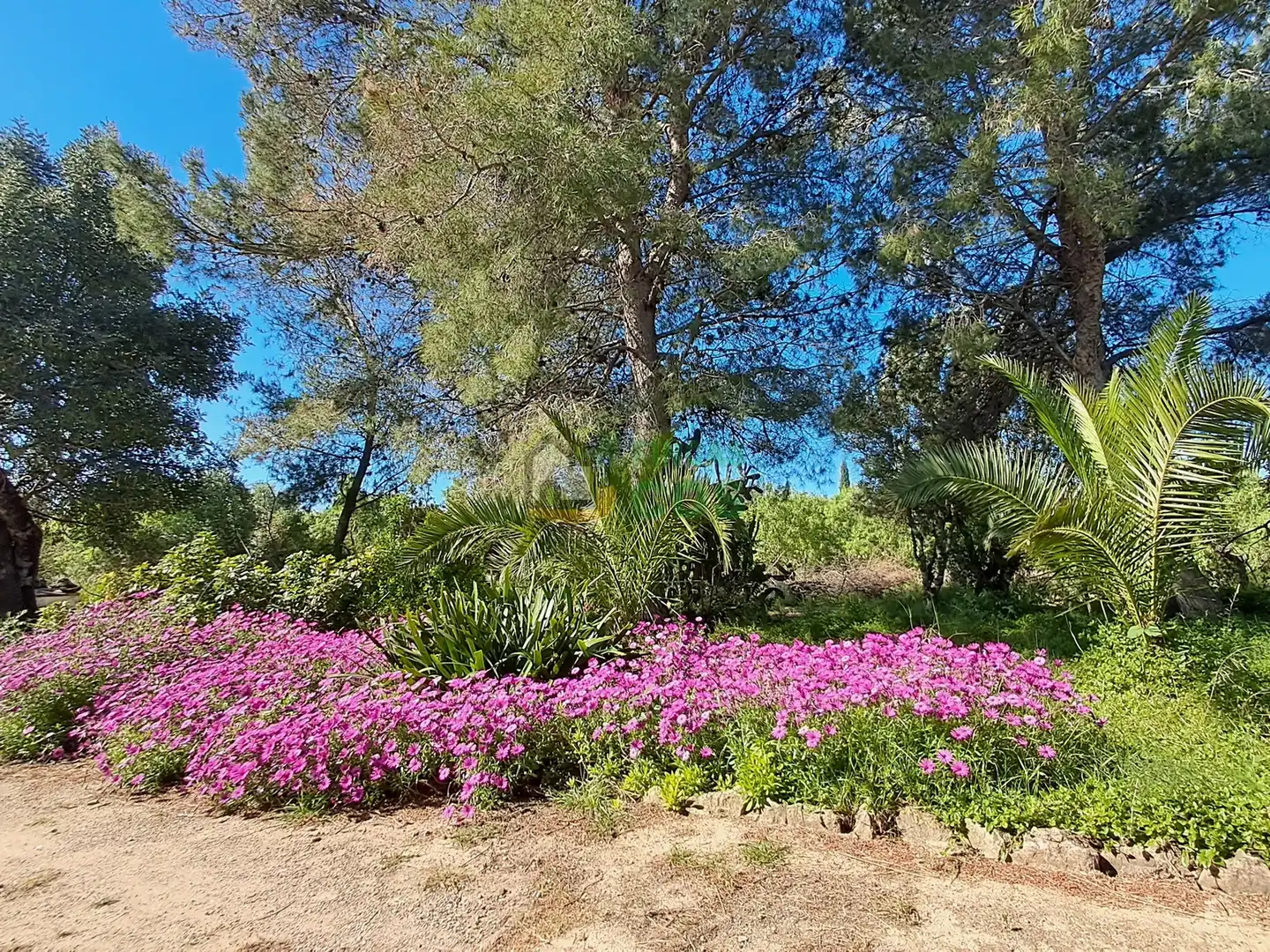 House with garden for sale in Ponent, imagen 3