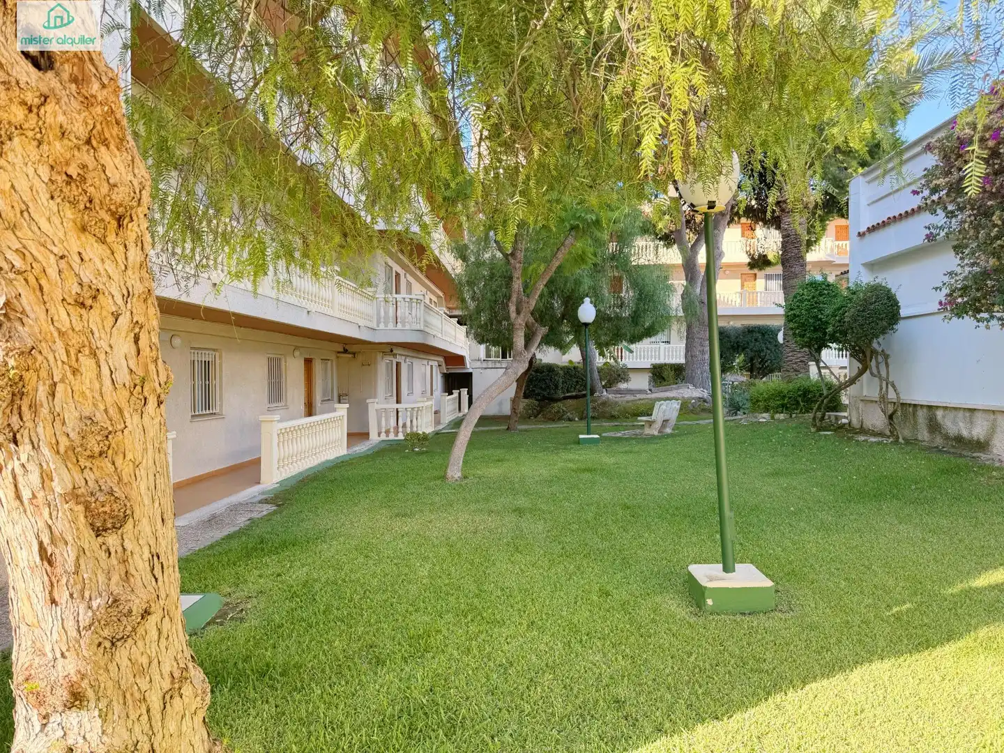 Apartments for rent in PINTA LA, 6, Playa Muchavista