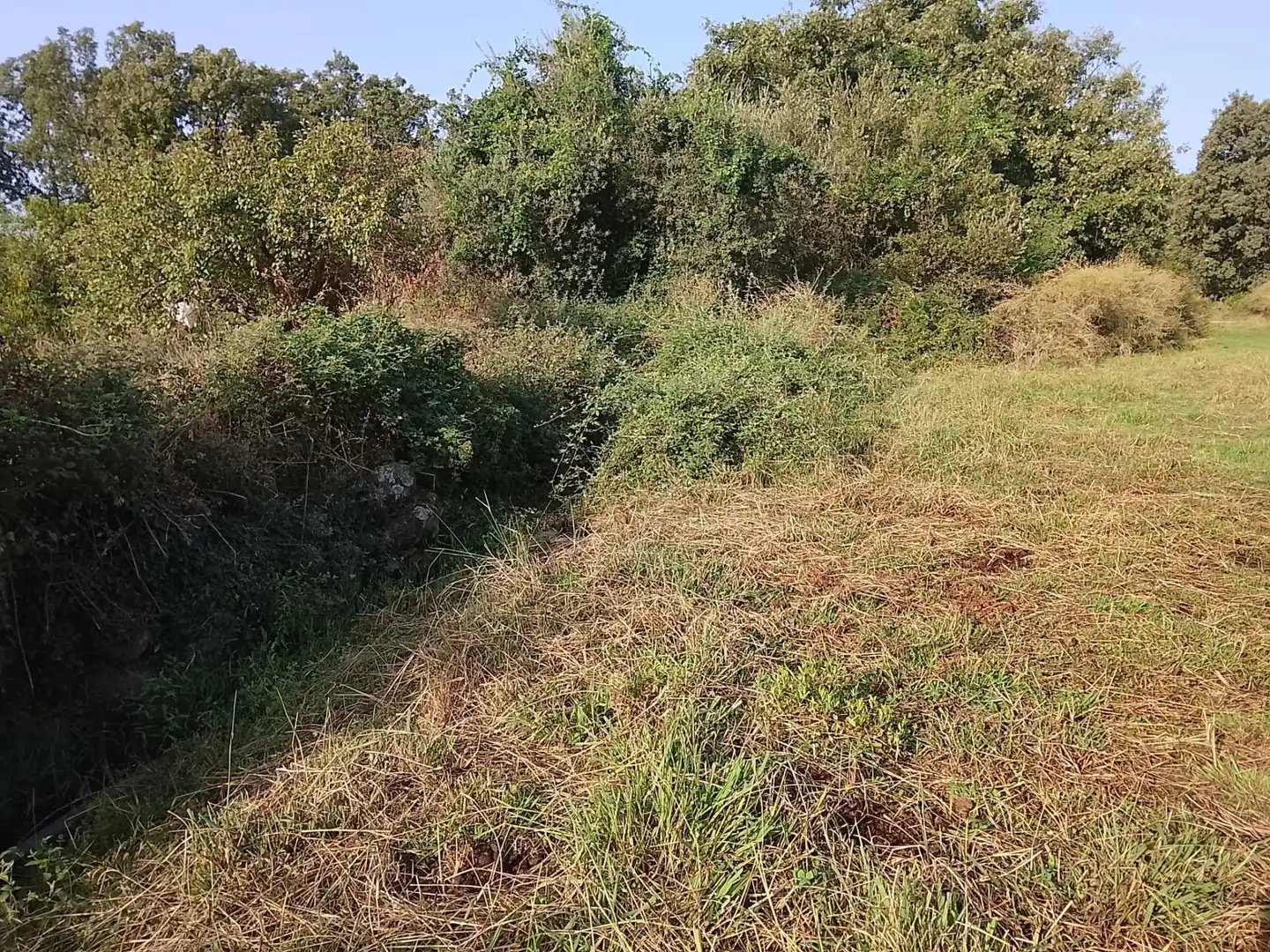Terreni e lotti in vendita a Villanueva de la Vera, imagen 20