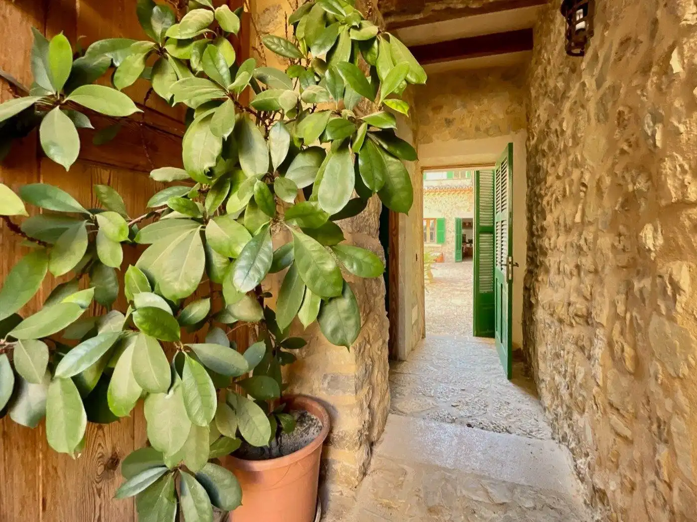 Casa amb terrassa en venda a Carrer Salvador Beltrán, imagen 14
