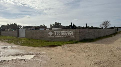 Foto 4 de Terreny en venda a Avenida Arenal Gordo, Arahal, Sevilla