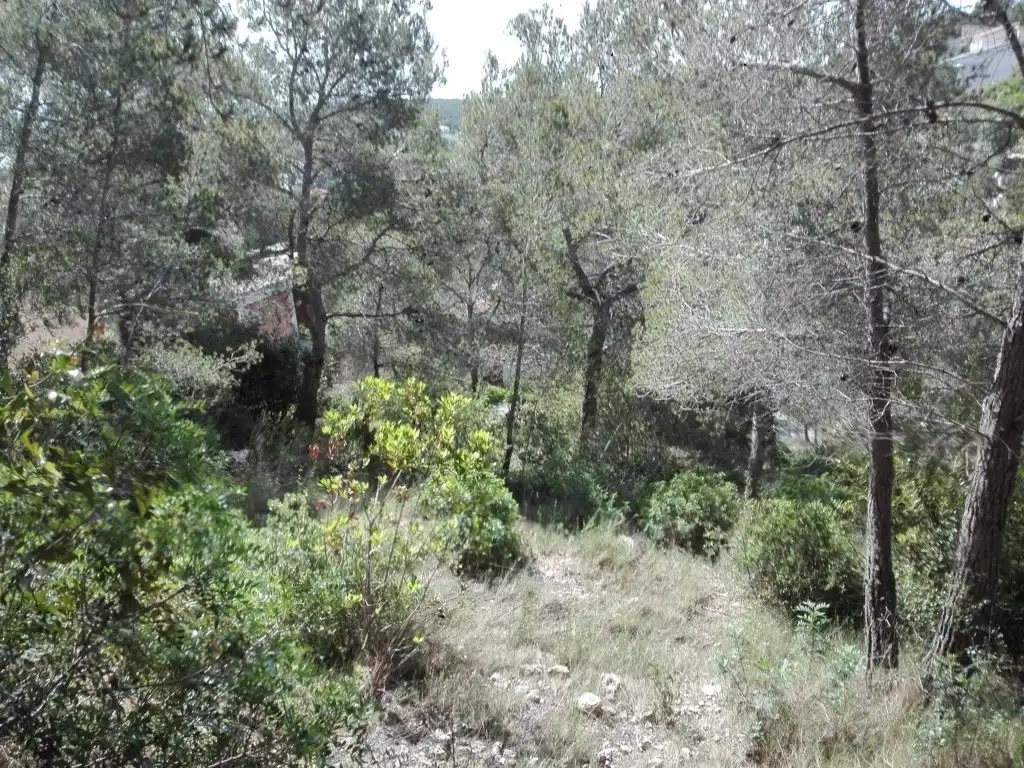 Residential land for sale in Costa Cunit - Els Jardins - Els Rosers, imagen 6